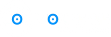 Logo A New Common Sense